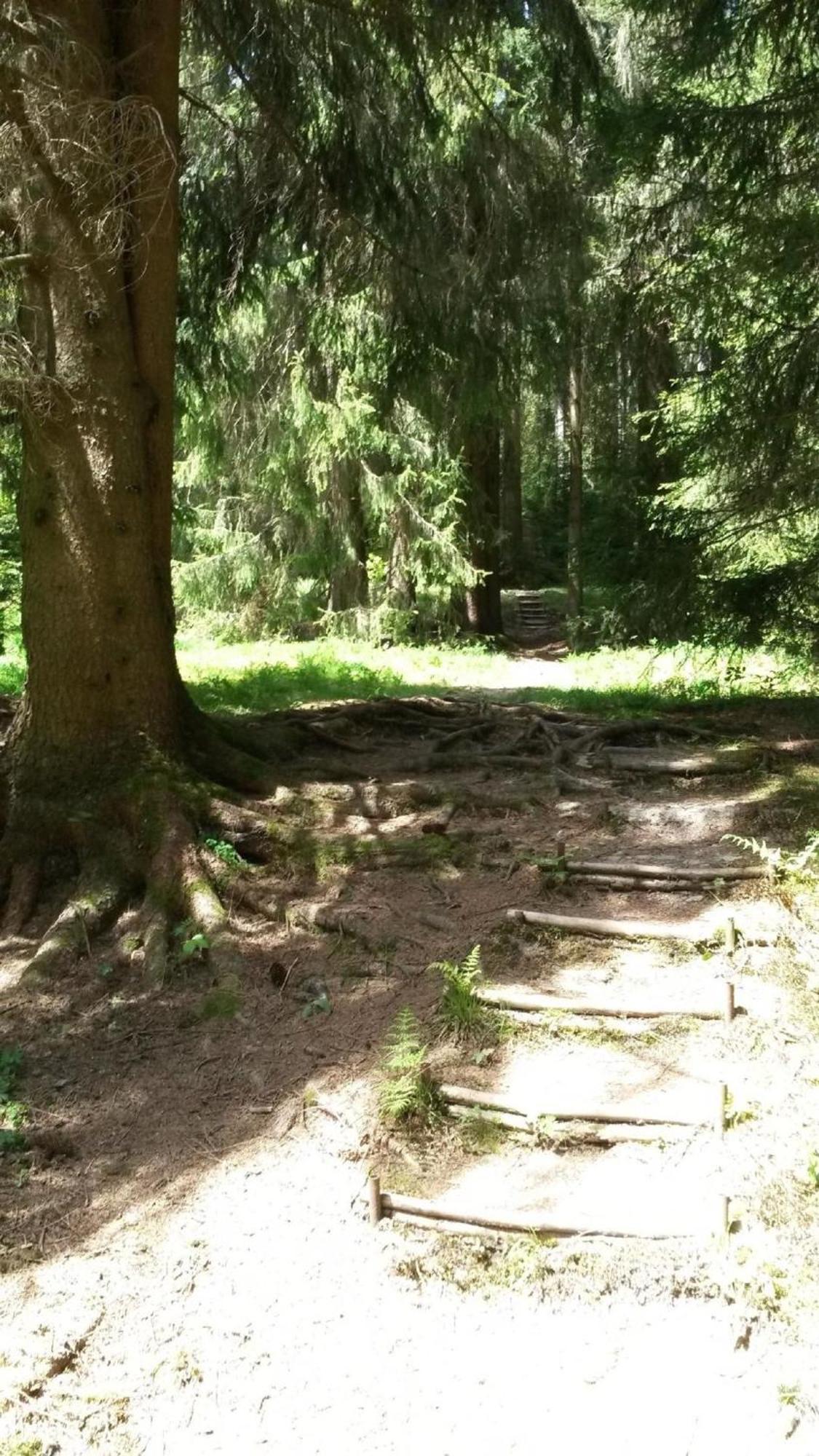 Ferienhaus Fuer 6 Personen Im Thueringer Wald Grossbreitenbach Extérieur photo