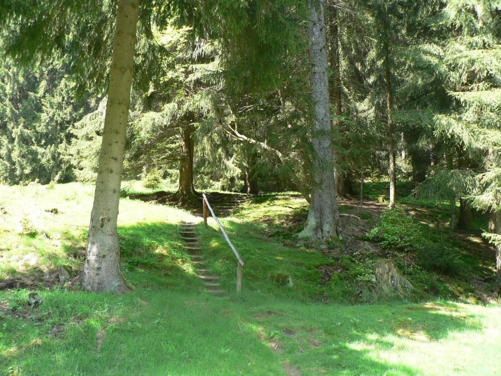 Ferienhaus Fuer 6 Personen Im Thueringer Wald Grossbreitenbach Extérieur photo