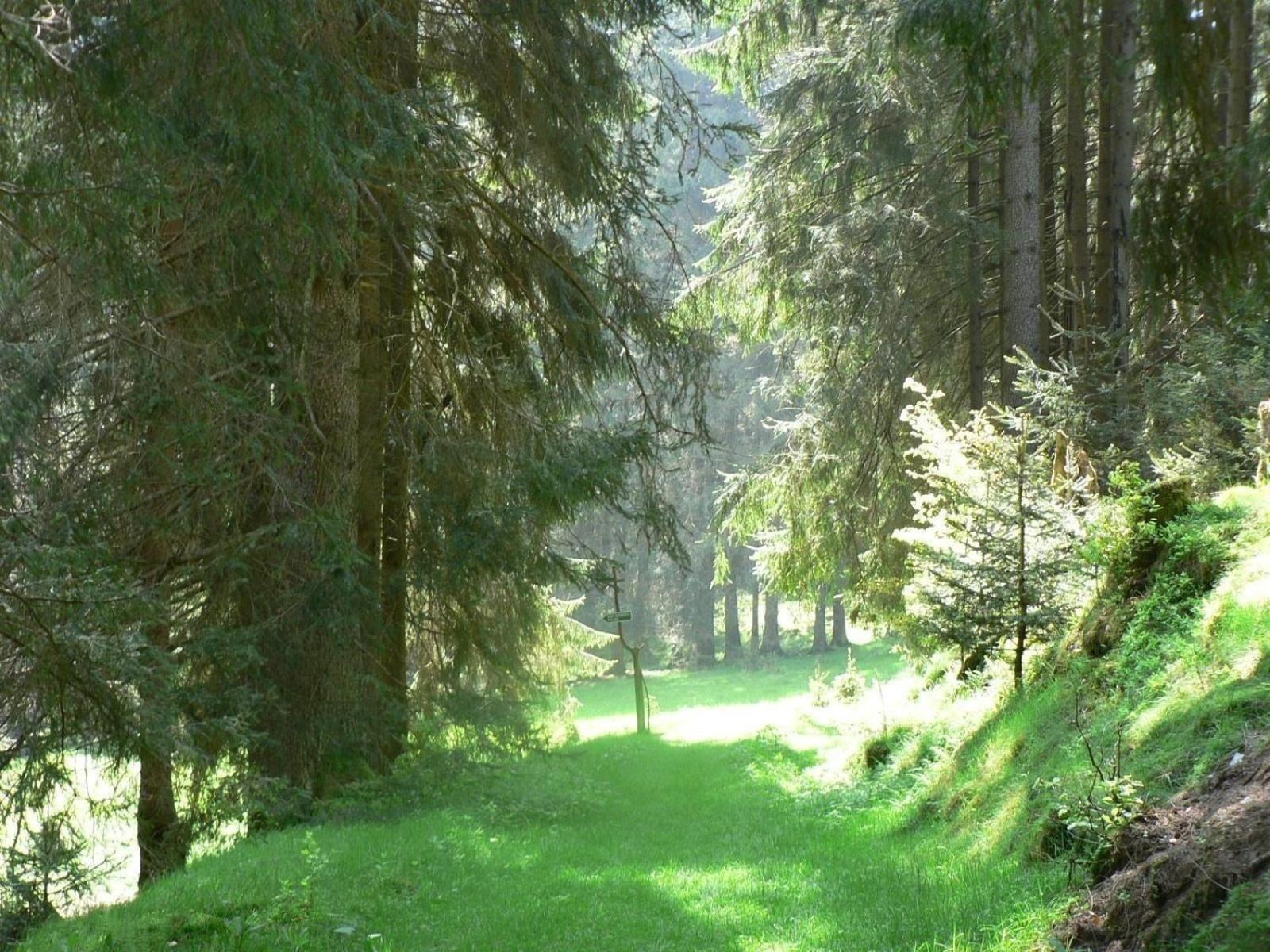 Ferienhaus Fuer 6 Personen Im Thueringer Wald Grossbreitenbach Extérieur photo